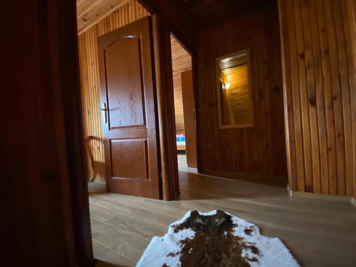 Holiday Homes Durmitorski Gaj & Rent A Quad Žabljak エクステリア 写真