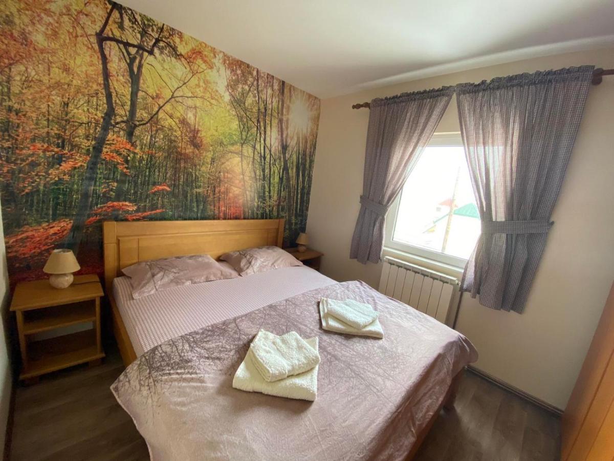 Holiday Homes Durmitorski Gaj & Rent A Quad Žabljak エクステリア 写真