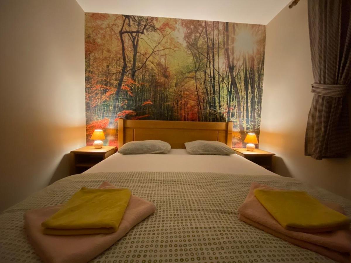 Holiday Homes Durmitorski Gaj & Rent A Quad Žabljak エクステリア 写真